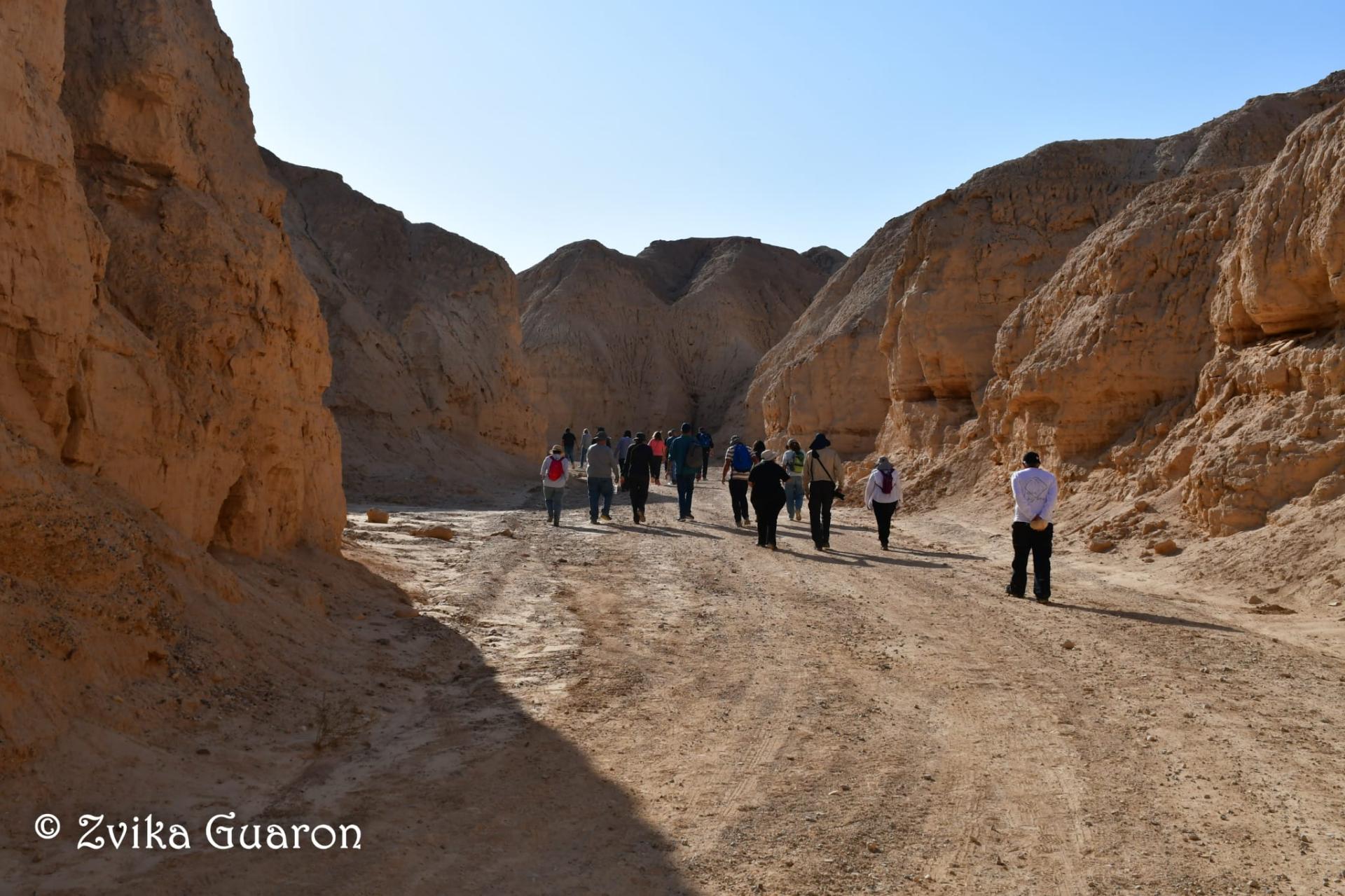 3 ימים לערבה התיכונה - ינואר 26