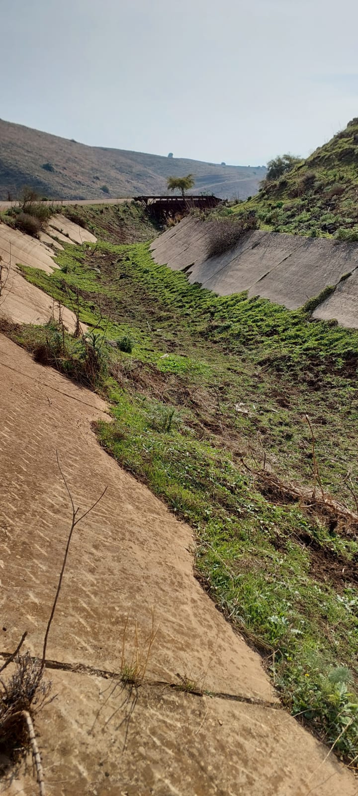מים בישראל -מחזון להגשמה