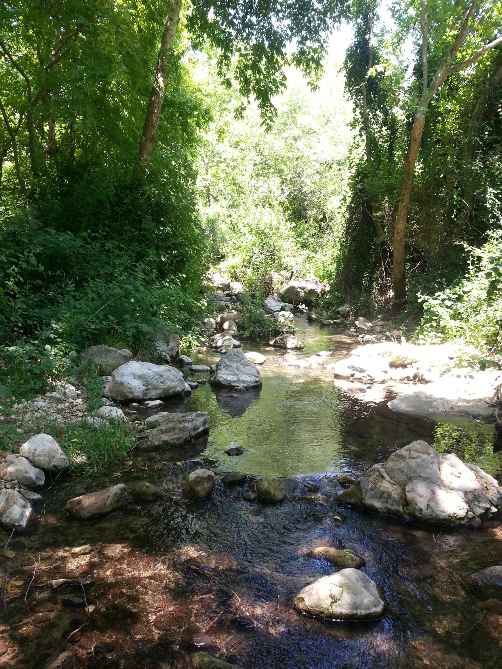 ואדי חביז(כזיב עליון) בגליל המערבי