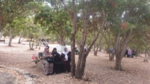 טיול כמאנה -עכו וראש הנקרה ספטמבר 22 (23).jpg