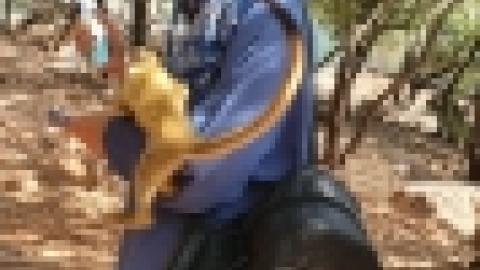 ביקור כמאנה בידפת (8).jpeg