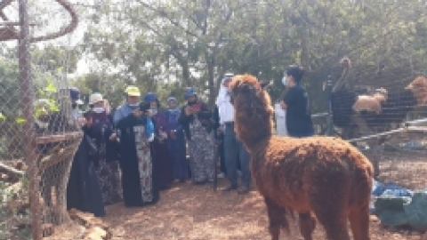 ביקור כמאנה בידפת (18).jpeg