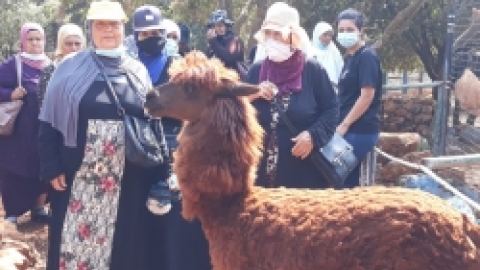 ביקור כמאנה בידפת (43).jpeg