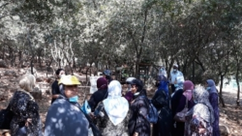 ביקור כמאנה בידפת (39).jpeg