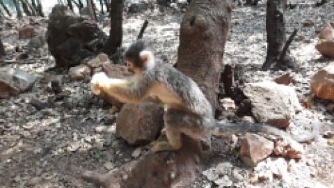 ביקור כמאנה בידפת (44).jpeg