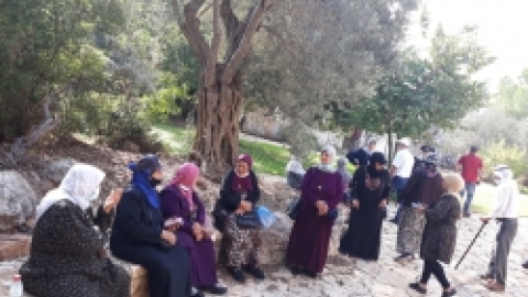 ביקור כמאנה בידפת (12).jpeg