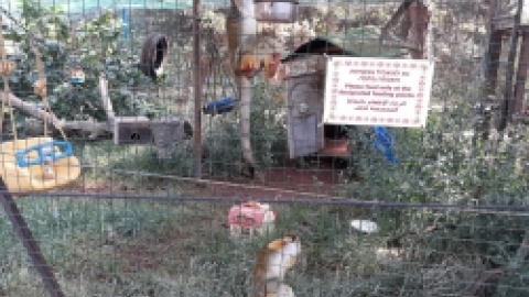 ביקור כמאנה בידפת (29).jpeg