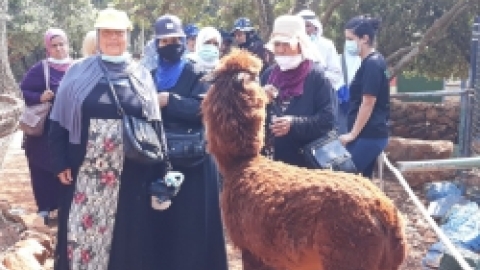 ביקור כמאנה בידפת (9).jpeg