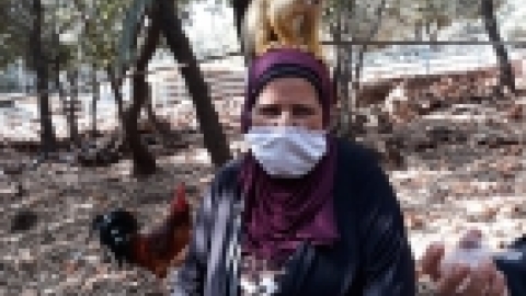 ביקור כמאנה בידפת (14).jpeg