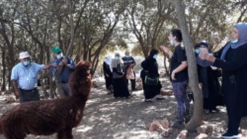 ביקור חוסניה בידפת (12).jpeg