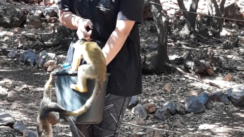 ביקור חוסניה בידפת (3).jpeg