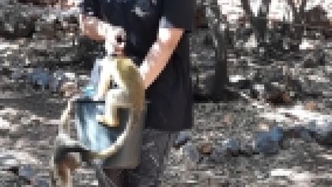 ביקור חוסניה בידפת (10).jpeg