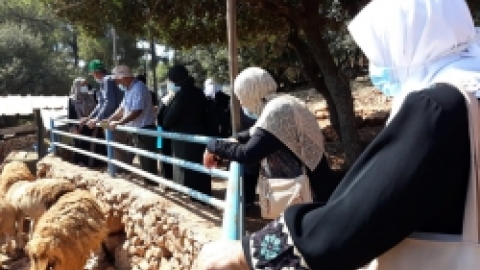 ביקור חוסניה בידפת (8).jpeg