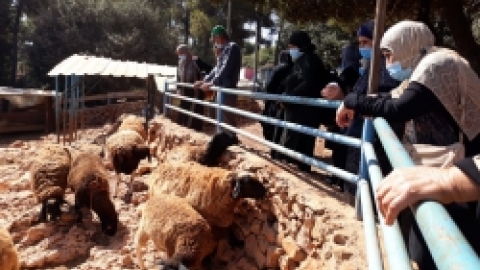 ביקור חוסניה בידפת (13).jpeg