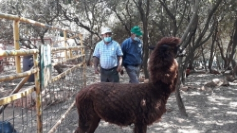 ביקור חוסניה בידפת (16).jpeg