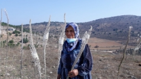 ביקור דמיידה ביער הקופים (5).jpeg