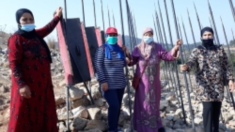 ביקור דמיידה ביער הקופים (6).jpeg