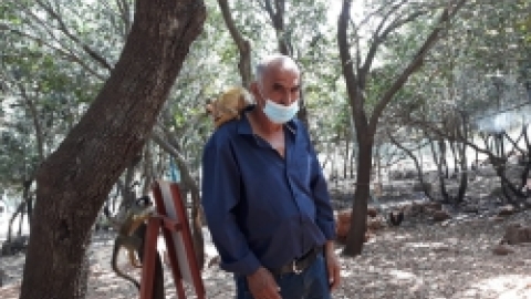 ביקור דמיידה ביער הקופים (22).jpeg