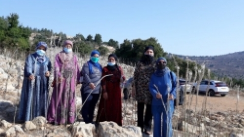 ביקור דמיידה ביער הקופים (9).jpeg