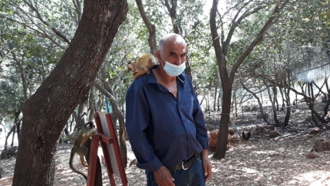 ביקור דמיידה ביער הקופים (4).jpeg