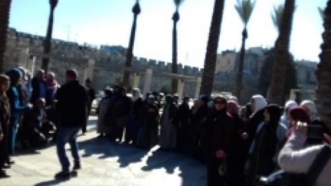 טיול ירושלים דצמבר 2018 (23).jpeg