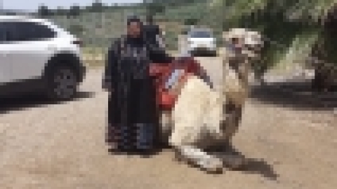 יום המורשת הבדואית 2023 (50).jpg