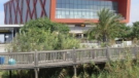 טיול לראשון לציון והסביבה אוקטובר 2018 (17).jpg