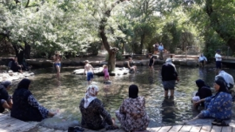 יוני 2018 - טיול לתל דן - וותיקי המועדונים הבדואים (2).jpeg