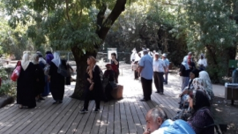 יוני 2018 - טיול לתל דן - וותיקי המועדונים הבדואים (6).jpeg