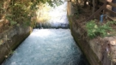 יוני 2018 - טיול לתל דן - וותיקי המועדונים הבדואים (15).jpeg