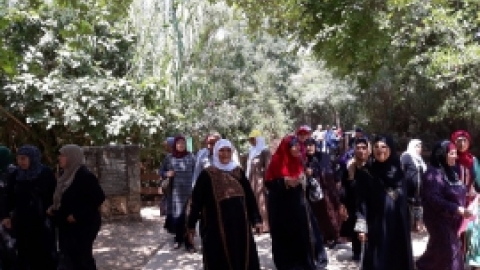 יוני 2018 - טיול לתל דן - וותיקי המועדונים הבדואים (25).jpeg