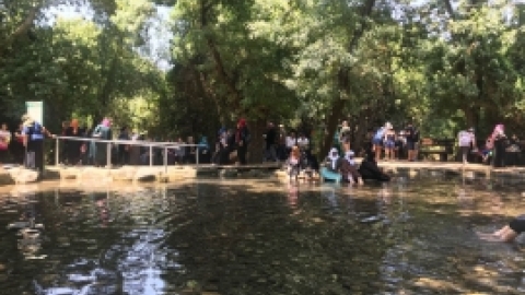 יוני 2018 - טיול לתל דן - וותיקי המועדונים הבדואים (24).jpeg