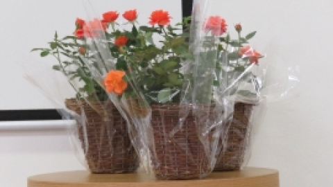 תערוכת חוגי האומנות בקתדרה תשעח (72).jpg