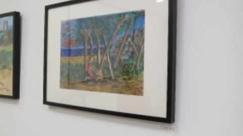 תערוכת חוגי האומנות בקתדרה תשעח (66).jpg