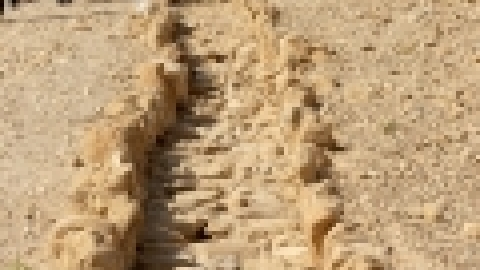 טיולי חמשישים קול קורא במדבר ירושלים ומדבר נובמבר 2017 (4).jpg