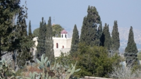 תמונות מטיול נופים ופריחות בגליל התחתון המזרחי 23.2 (2).jpg