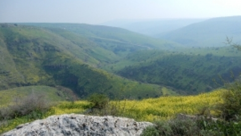 תמונות מטיול נופים ופריחות בגליל התחתון המזרחי 23.2 (8).jpg