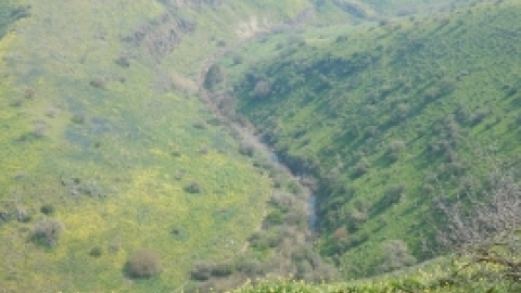 תמונות מטיול נופים ופריחות בגליל התחתון המזרחי 23.2 (4).jpg