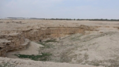 טיול לבקעת הירדן 922017 צילומים באדיבות בנצי נבו (6).jpg