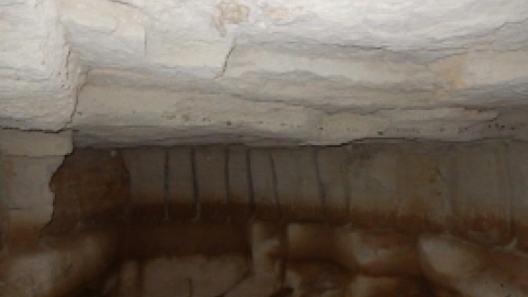 טיול לבקעת הירדן 922017 צילומים באדיבות בנצי נבו (10).jpg