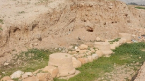 טיול לבקעת הירדן 922017 צילומים באדיבות בנצי נבו (8).jpg