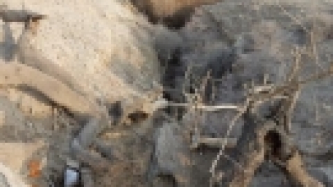 טיול לבקעת הירדן 922017 צילומים באדיבות בנצי נבו (20).jpg