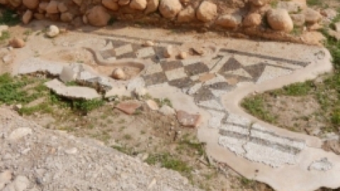 טיול לבקעת הירדן 922017 צילומים באדיבות בנצי נבו (18).jpg