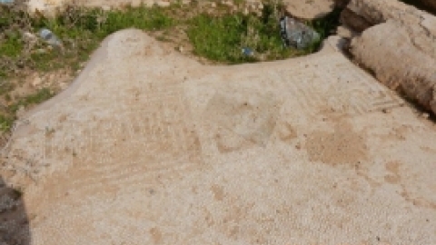 טיול לבקעת הירדן 922017 צילומים באדיבות בנצי נבו (12).jpg