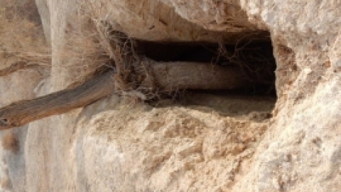 טיול לבקעת הירדן 922017 צילומים באדיבות בנצי נבו (15).jpg