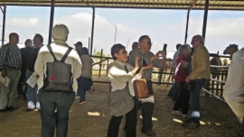 ינואר 2017 - נופש באילת לוותיקי משגב (11).jpg