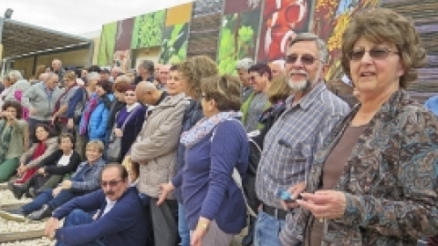 ינואר 2017 - נופש באילת לוותיקי משגב (4).jpg