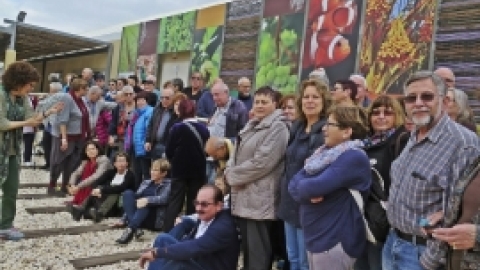 ינואר 2017 - נופש באילת לוותיקי משגב (9).jpg