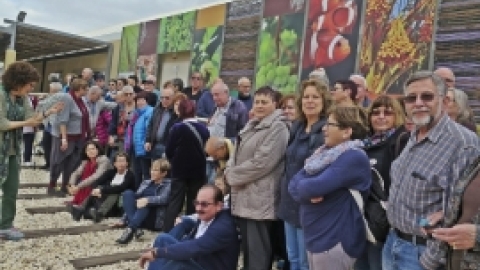 ינואר 2017 - נופש באילת לוותיקי משגב (12).jpg