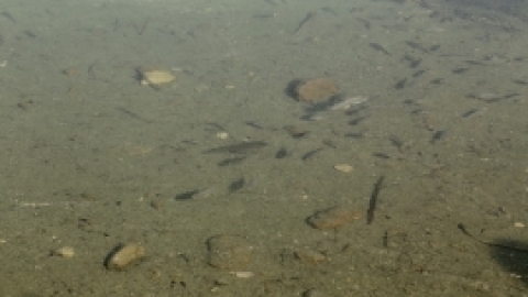 טיולי חמשישים קול קורא במדבר ירושלים ומדבר יומיים - אוקטובר 2017  (6).jpg